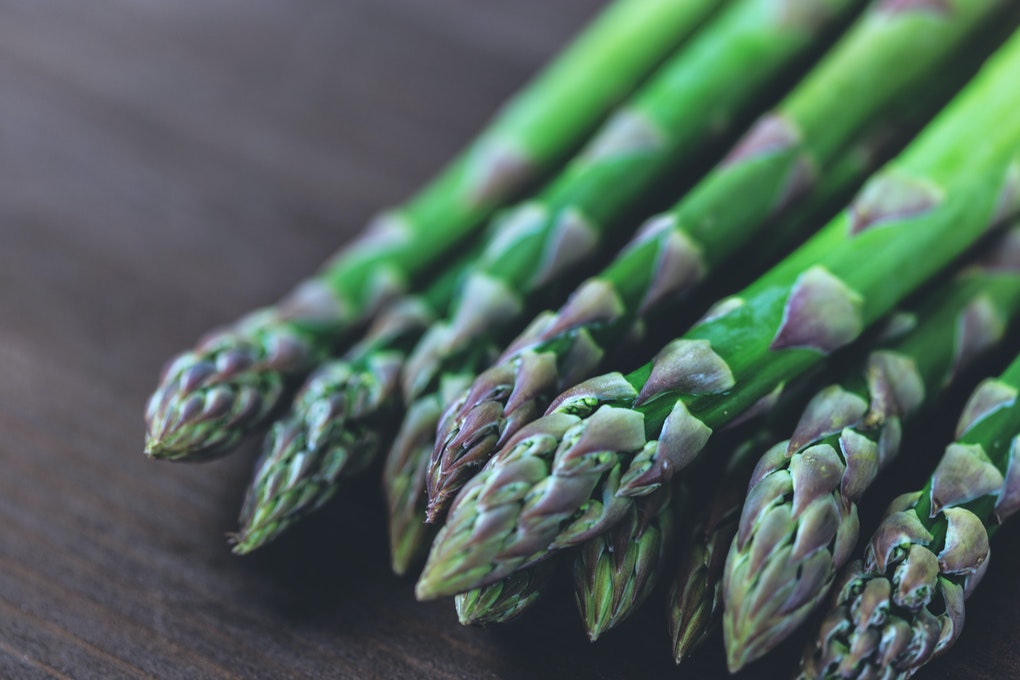 effective suppressor of free radical damage and our primary antioxidant defense.
