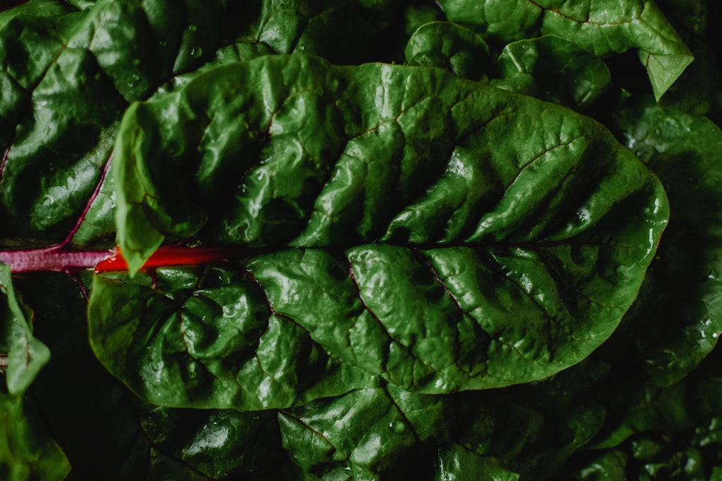 antioxidant, anti-inflammatory effects block sunlight-induced inflammation in the skin