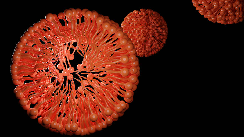 omega-supplements-micelle